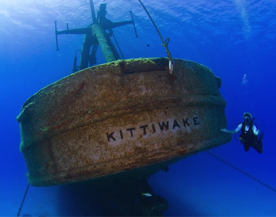 Dive Kittiwake Wreck