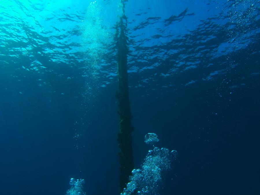 mala pier maui hawaii