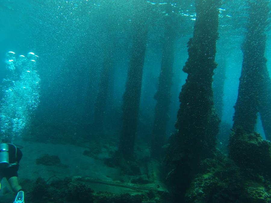 maui dive at mala pier and black rock