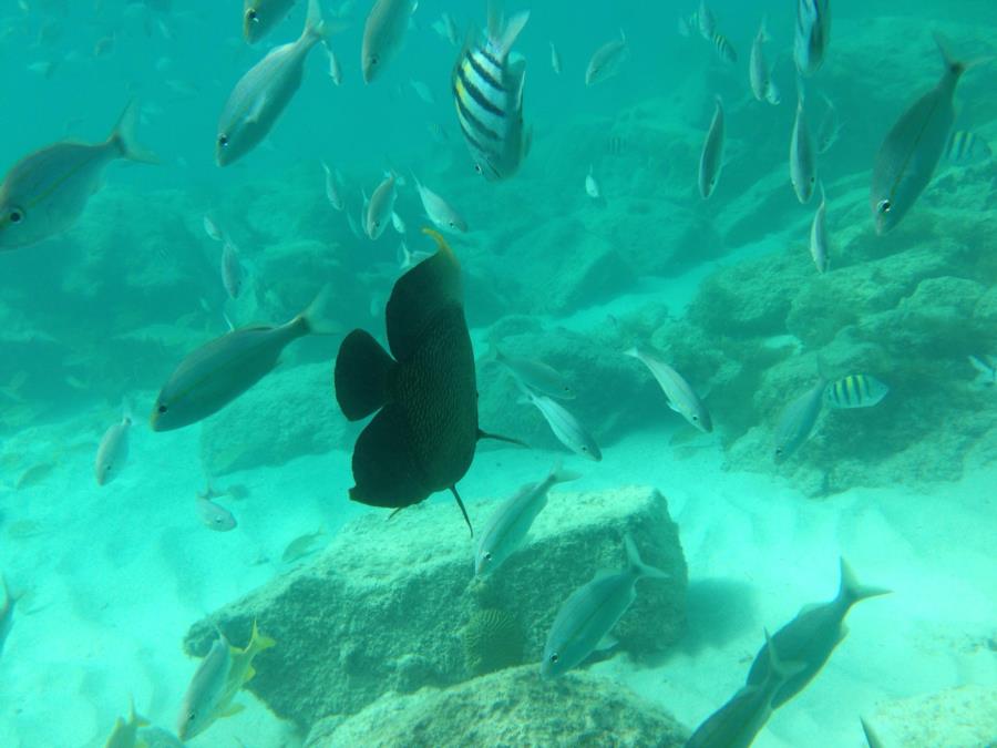 Water shot in Aruba