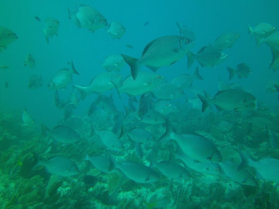 Key Largo