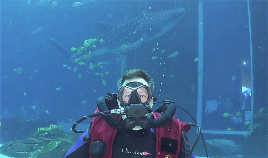 Georgia Aquarium CCR Dive