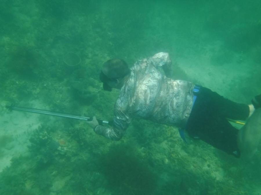 spear fishing