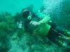 Hookah Diving Exploring Fl Reef