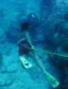 Hookah Diving all day Exploring Fl Reef