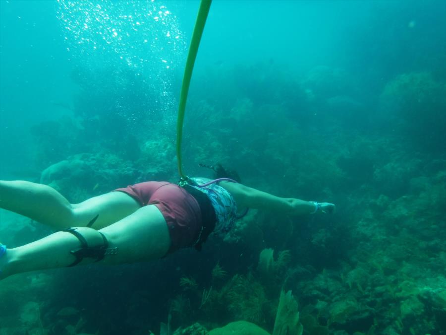 Exploring Fl Reef Hookah Diving All Day