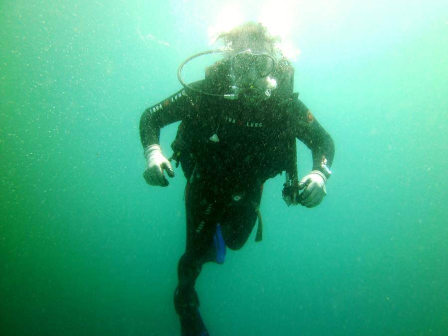Diving Cebu Island, Philippines