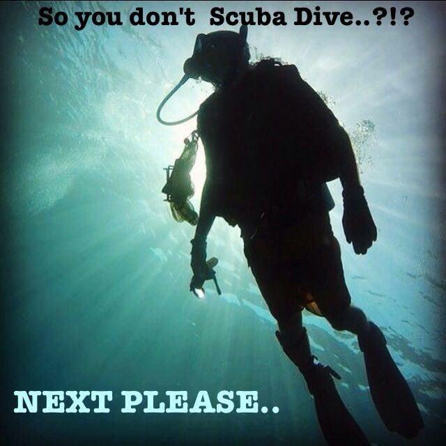 You don’t dive