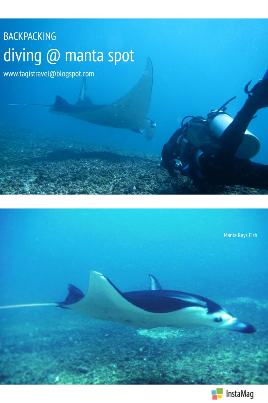 Diving in manta spot labuan bajo