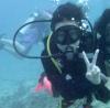 diving in tioman