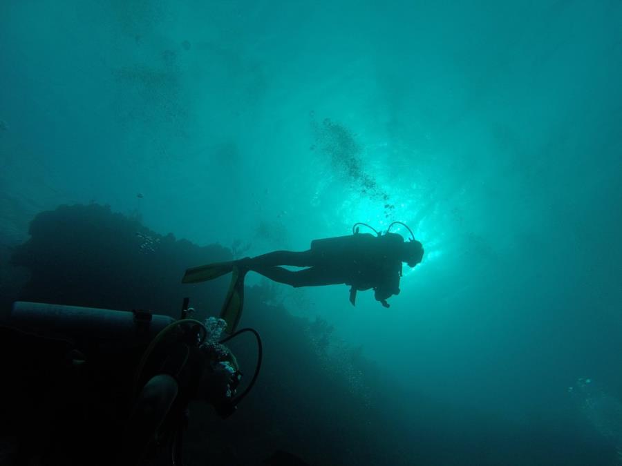 divers from below