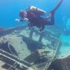 Wreck in Curacao