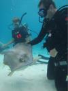 Stingray City