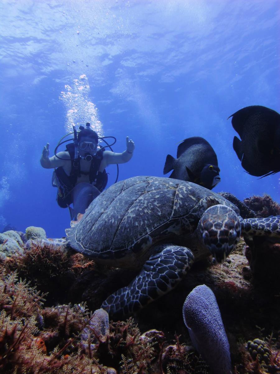 Dalila Reef, Cozumel, MX