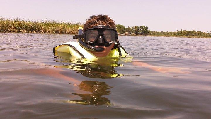 My son, about 12, snorkleing with manatees.