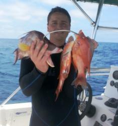 HogFish—Yum!