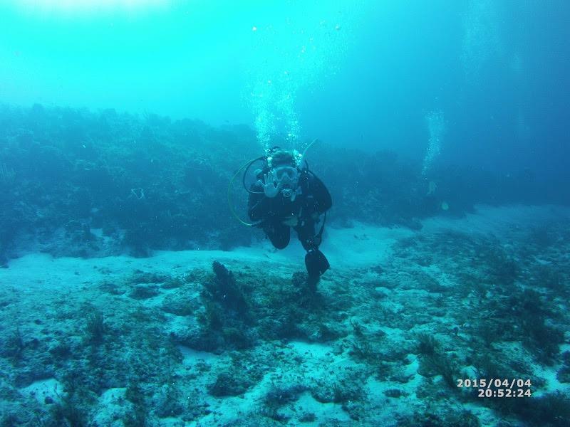 Diving in Cozumel