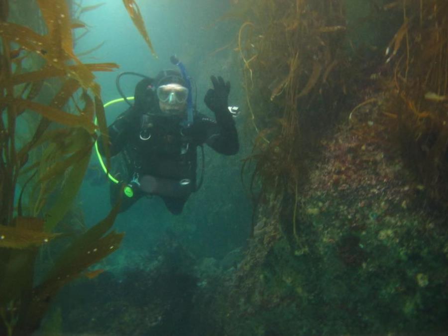 Breakwater Monterey