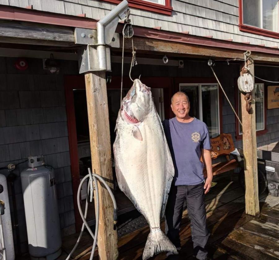 Alaskan Halibut