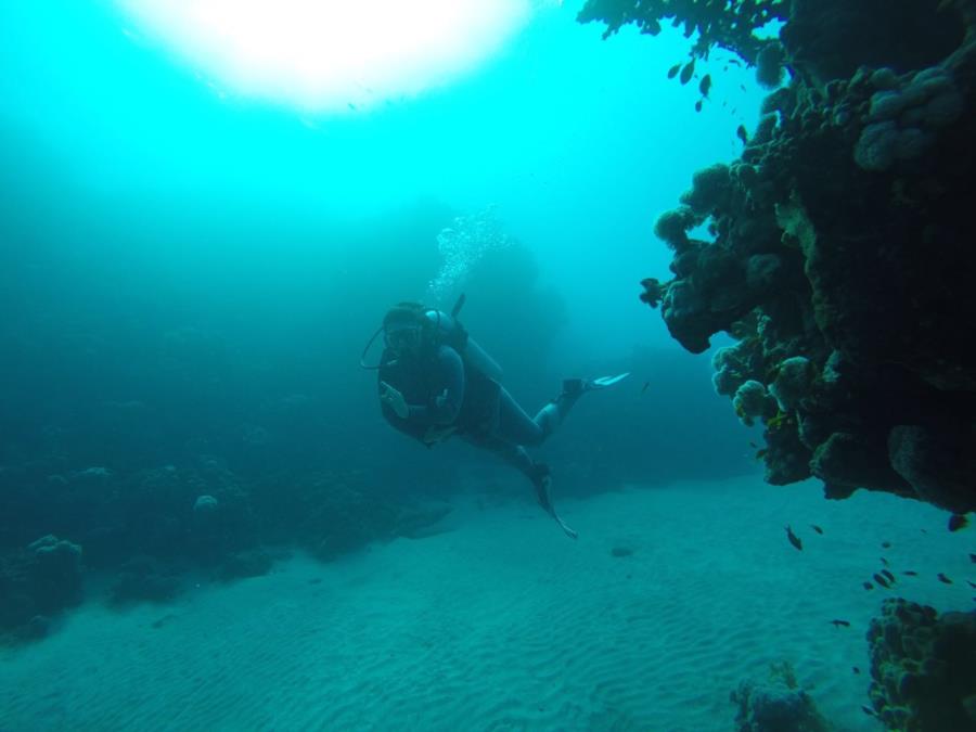 Abu Dabour... my 5th dive!!