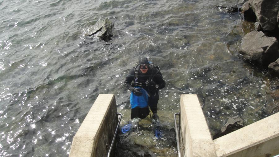 Crabbing Garibaldi