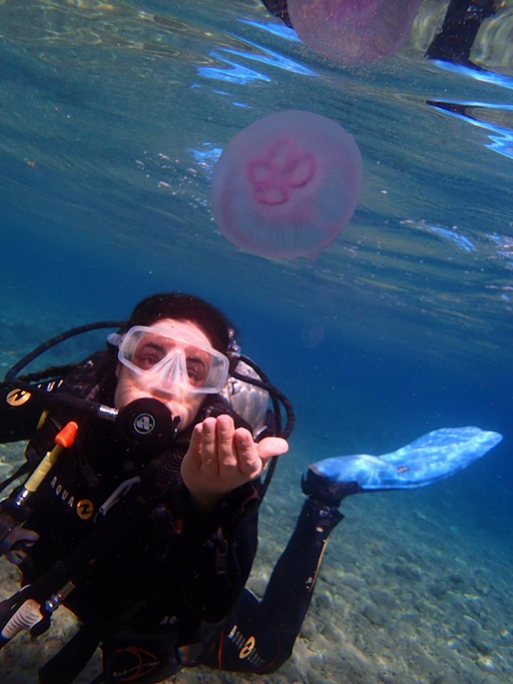 Red Sea Jellyfish