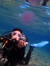 Red Sea Jellyfish
