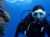 Little red fishes in the Red Sea, Dahab (Egypt)