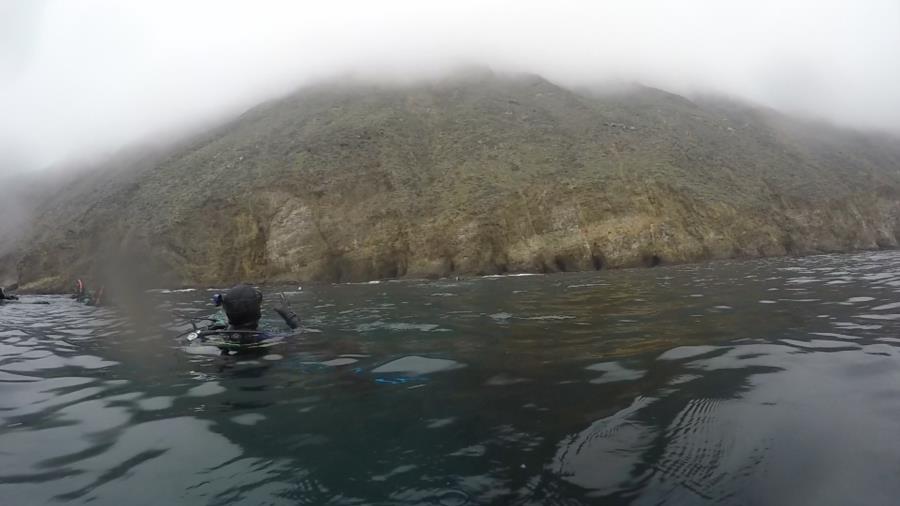 Foggy Day (Anacapa)