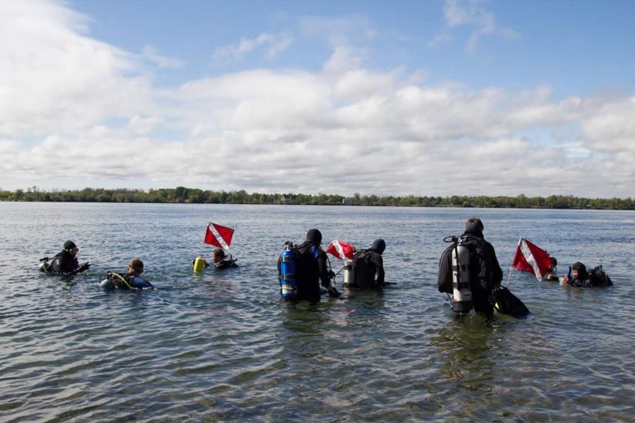 Dive fun day in NY