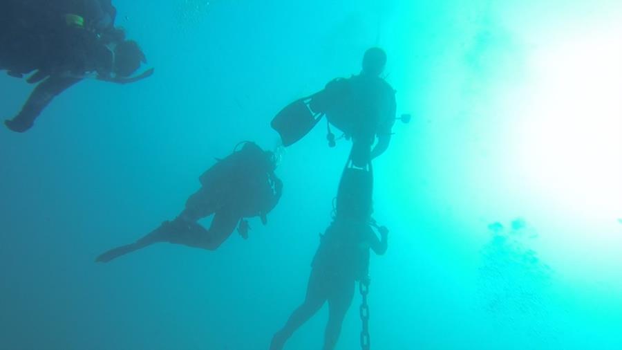 looking up from 97ft