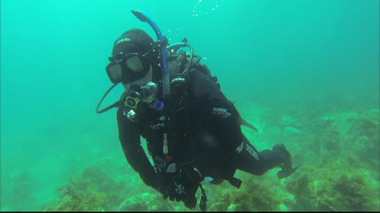 me diving Catalina Island