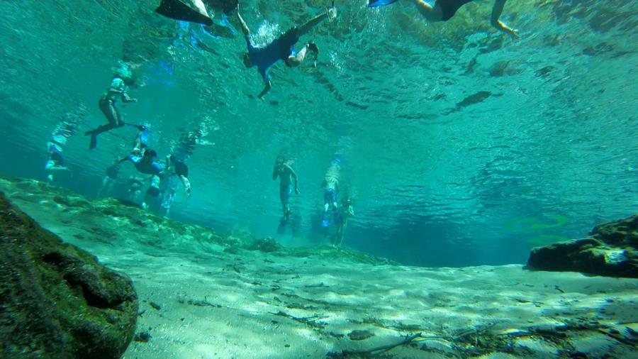 Ginnie Springs