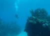 Diving Manchones Reef