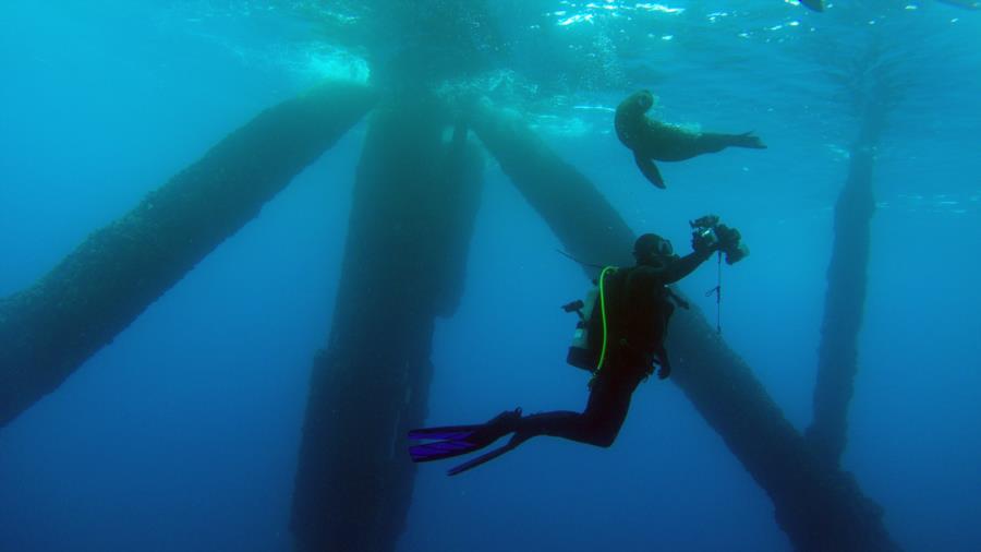 SCAL Oil Rig Dive #3