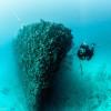 Wreck dive in Florida