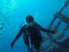 Diving in the Keys