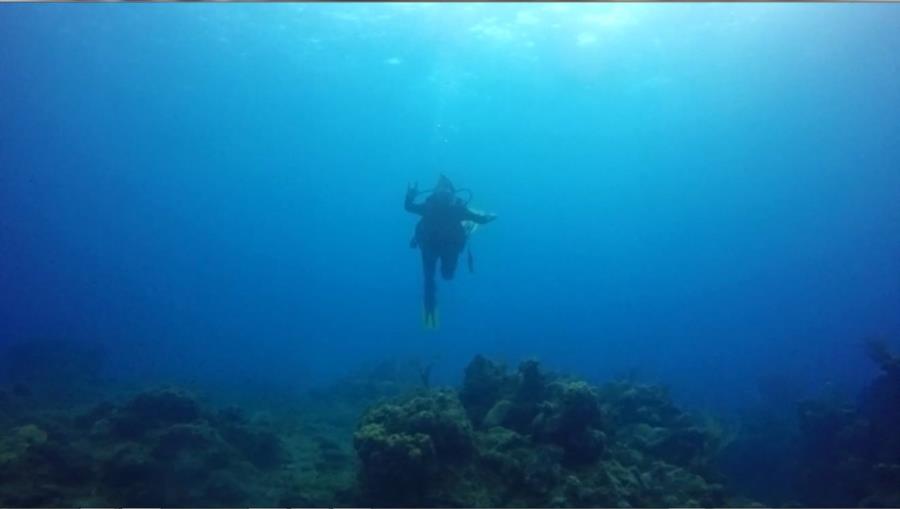 Caribbean dive