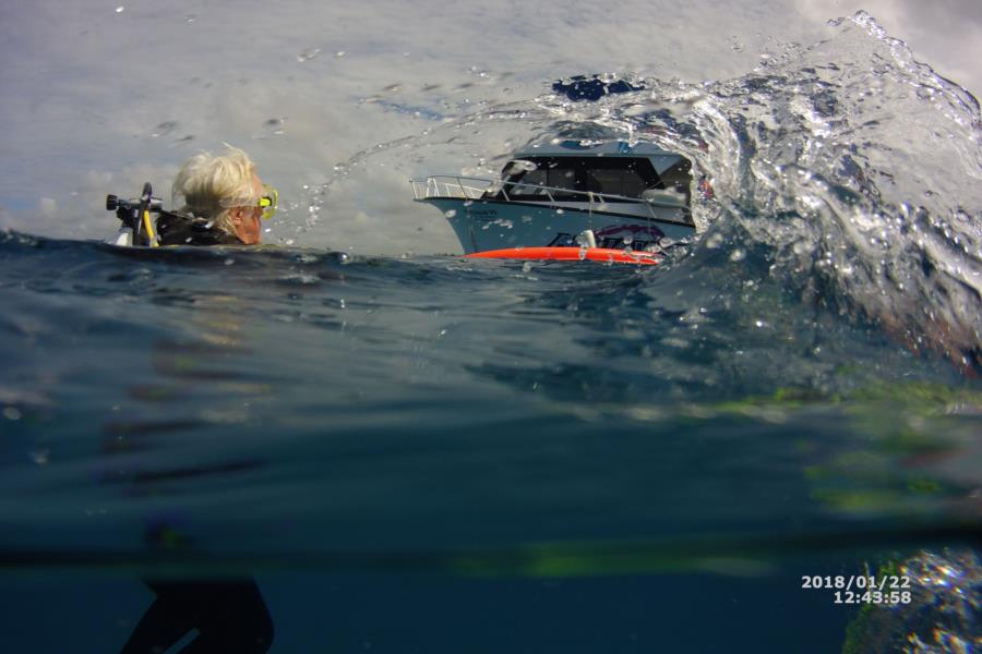 Diving Cozumel