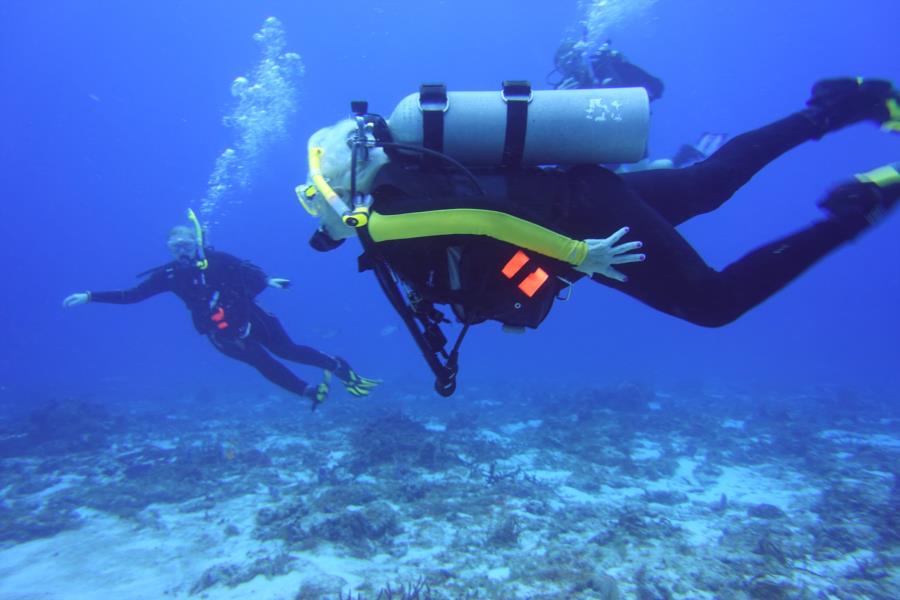 Diving Cozumel