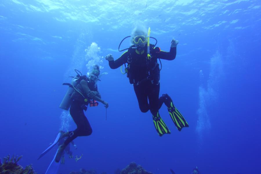 Diving Cozumel
