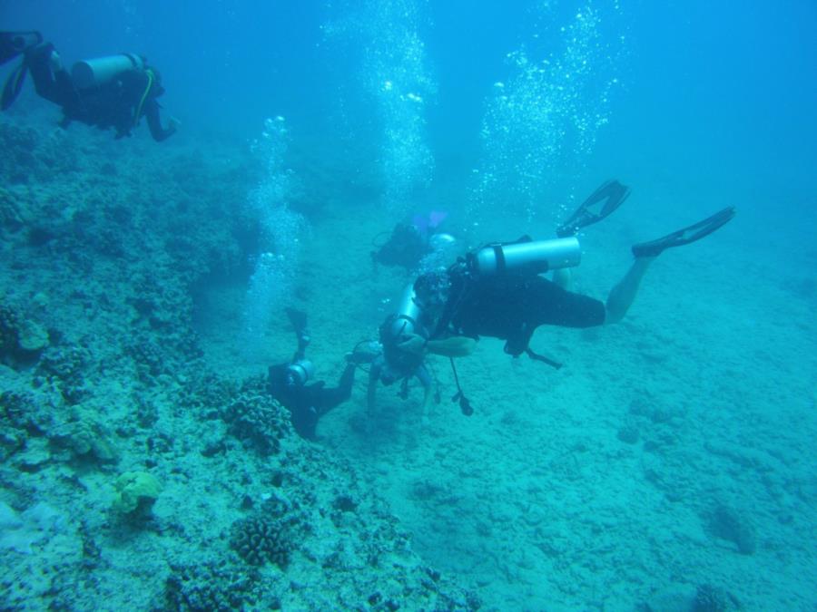 Kewalo Pipe Reef