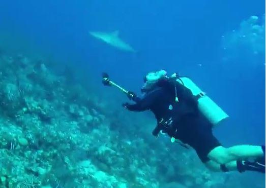 Nassau, Shark Dive