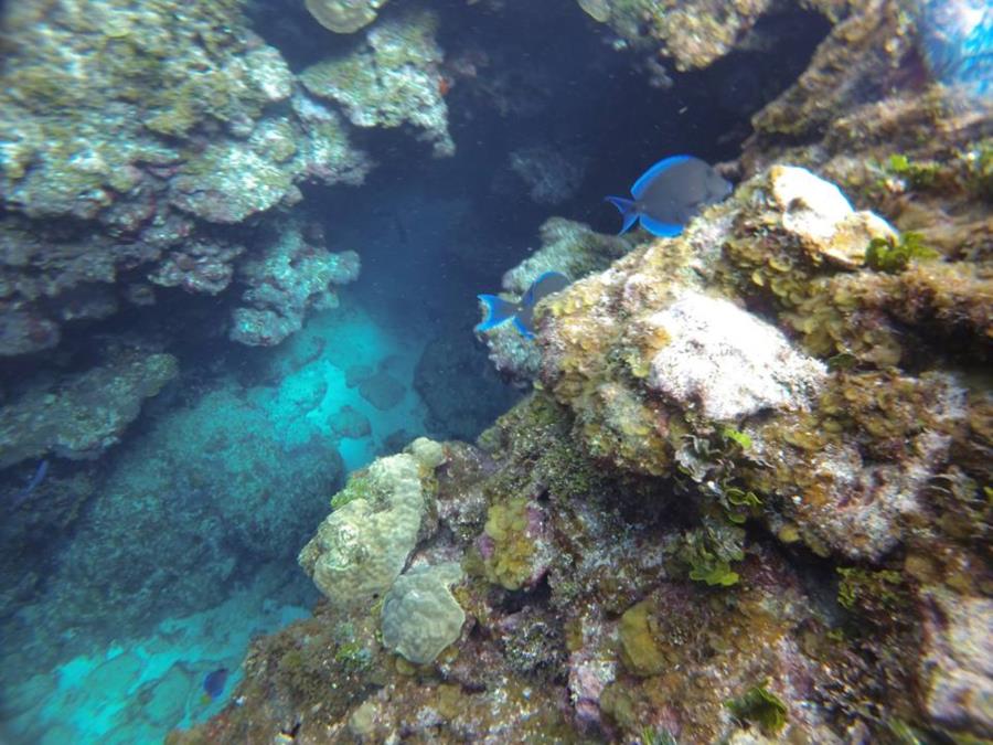 Tunnels at Eden Rock