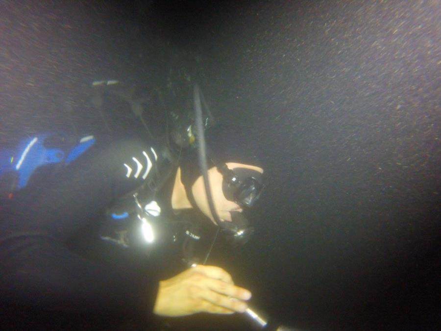 Night Dive Comal