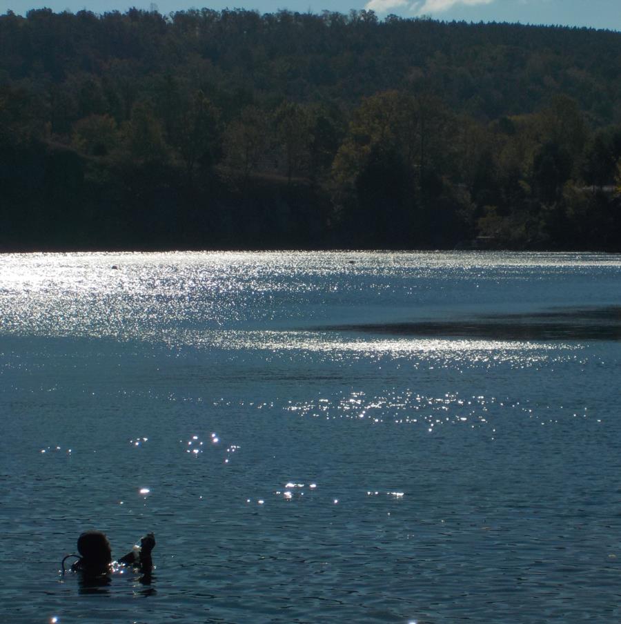 DIVE LAND , ALABAMA