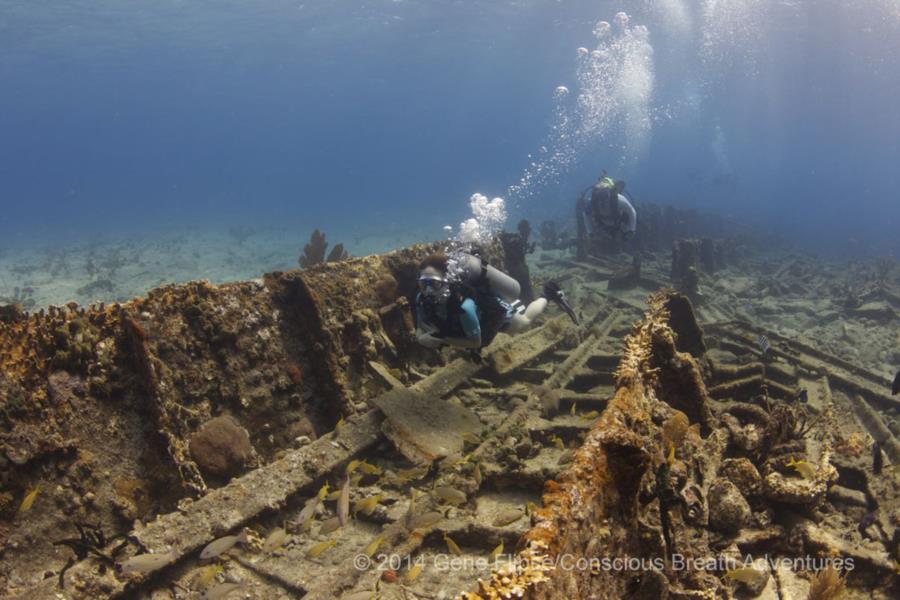 Sugar wreck Bahamas