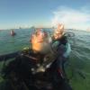 Open water class, cayman