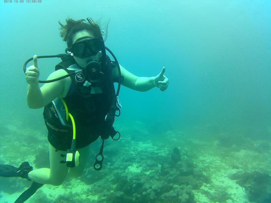 Diving in Cebu
