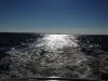 Back of the Boat